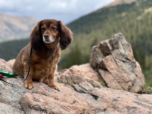 Why I'm Starting this Blog.